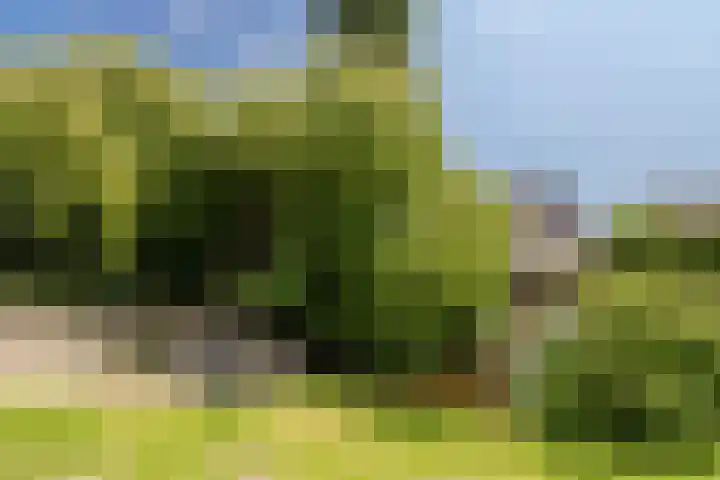 Tienenwal 14 A Alkmaar thumbnail 26