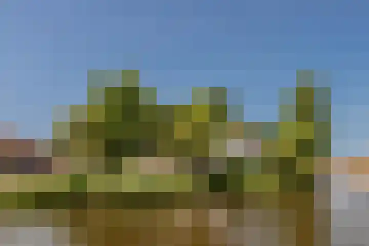 Tienenwal 14 A Alkmaar thumbnail 30