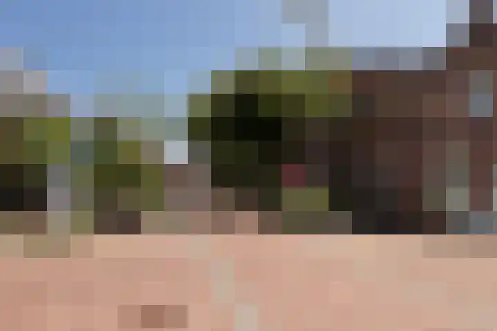 Tienenwal 14 A Alkmaar thumbnail 31