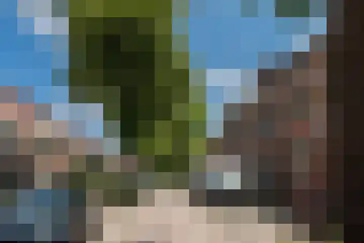 Tienenwal 14 A Alkmaar thumbnail 5