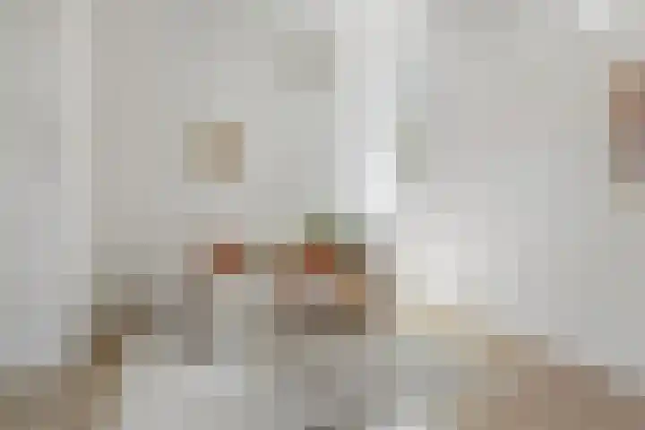 Tienenwal 14 A Alkmaar thumbnail 7