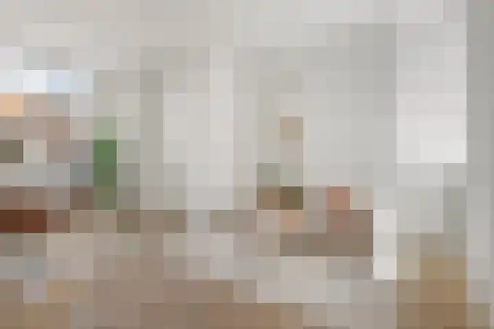Tienenwal 14 A Alkmaar thumbnail 8