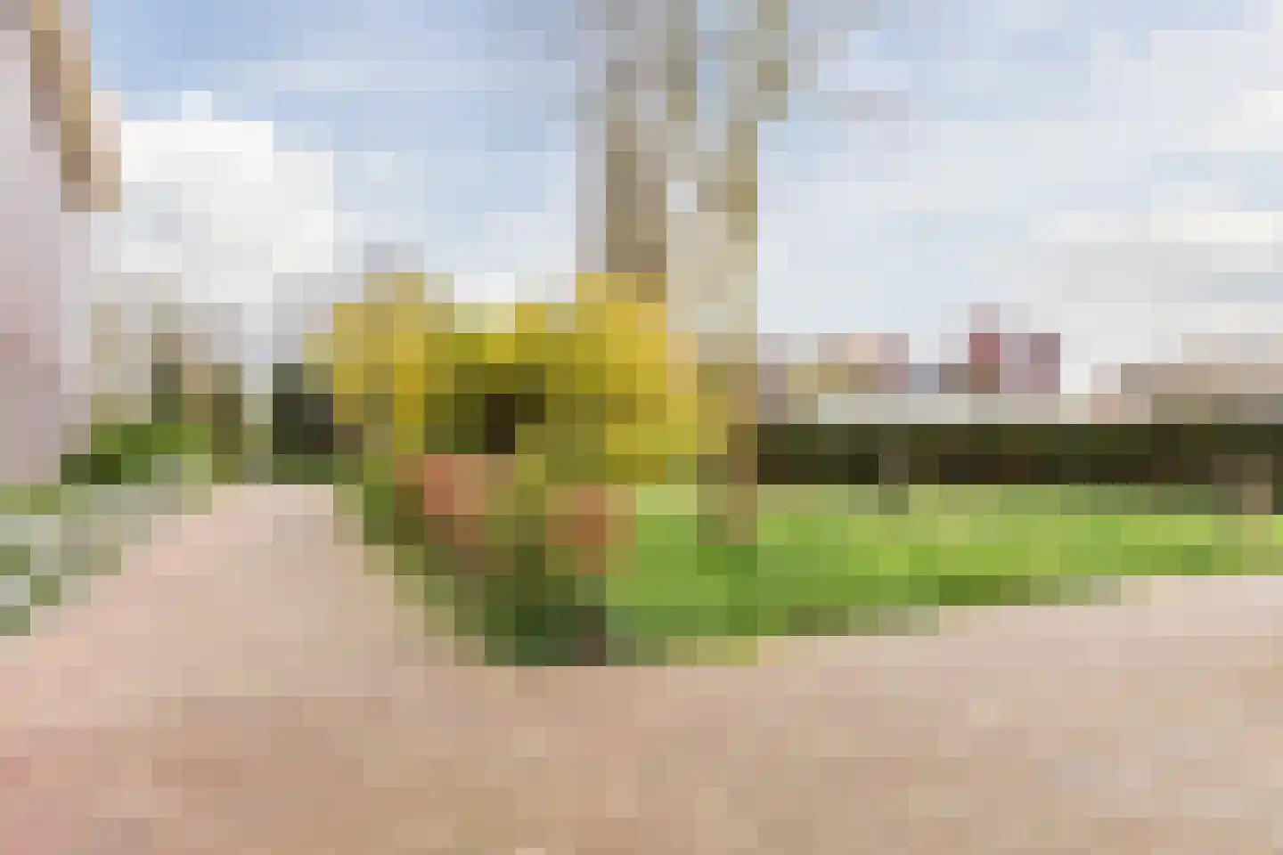 Tienenwal 14 B Alkmaar thumbnail 24