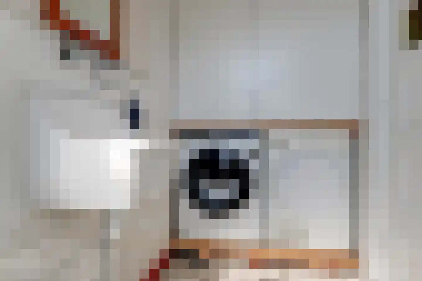 Tienenwal 16 A Alkmaar thumbnail 11