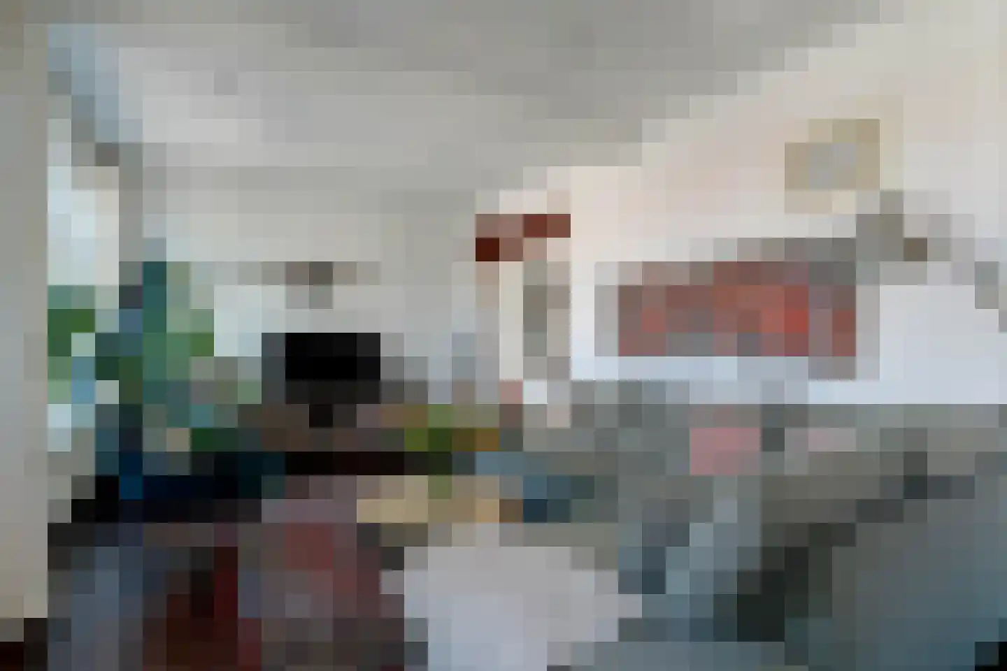 Tienenwal 16 A Alkmaar thumbnail 14