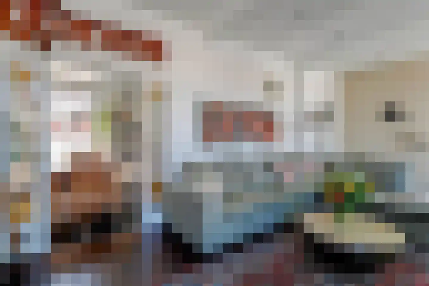 Tienenwal 16 A Alkmaar thumbnail 15