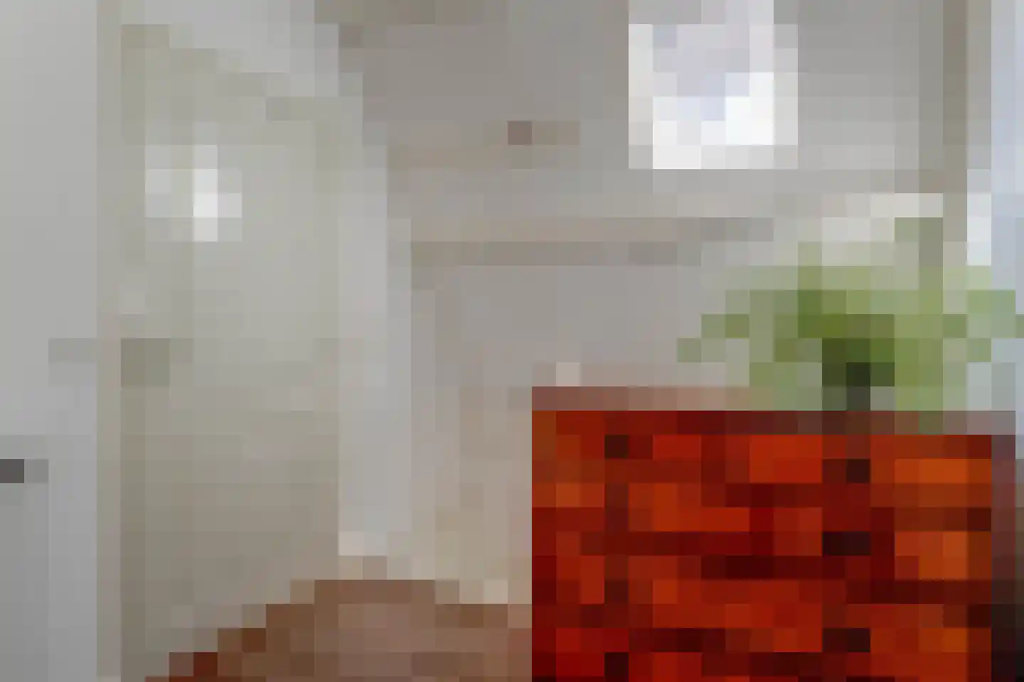 Tienenwal 16 A Alkmaar thumbnail 27