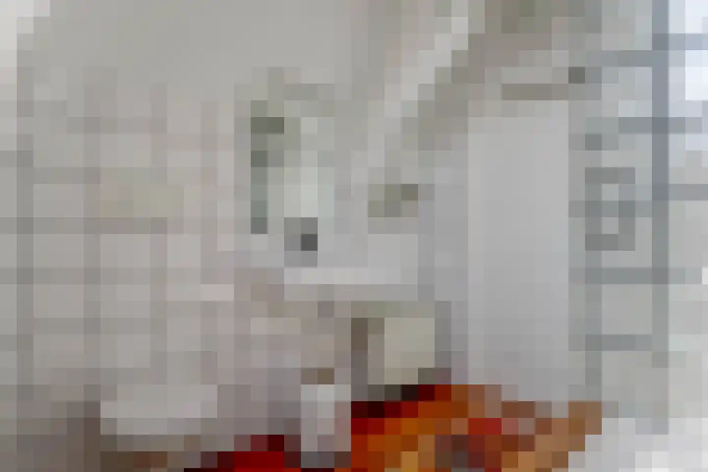 Tienenwal 16 A Alkmaar thumbnail 33