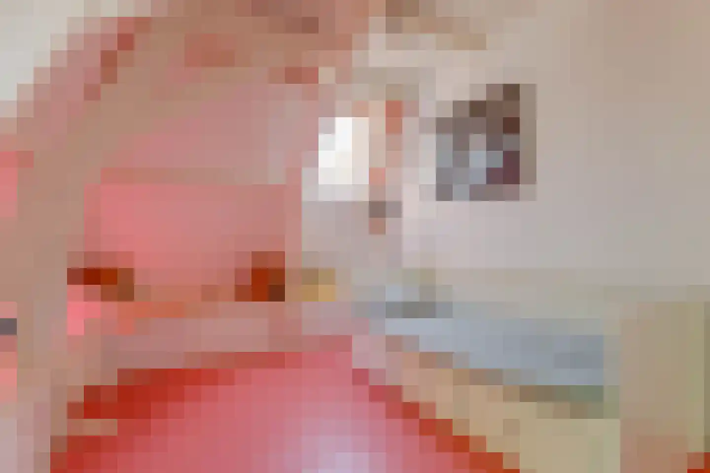 Tienenwal 16 A Alkmaar thumbnail 36