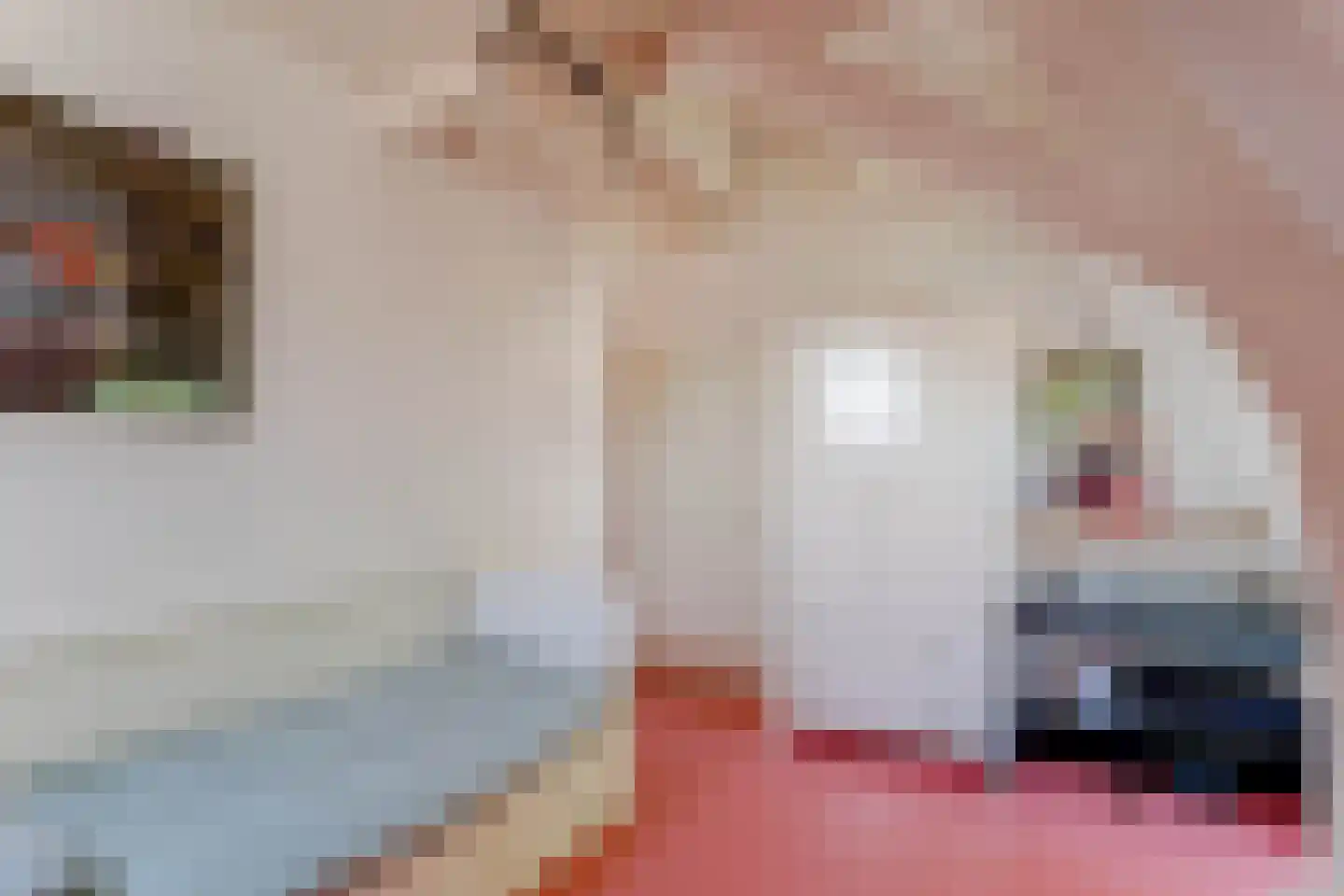 Tienenwal 16 A Alkmaar thumbnail 37