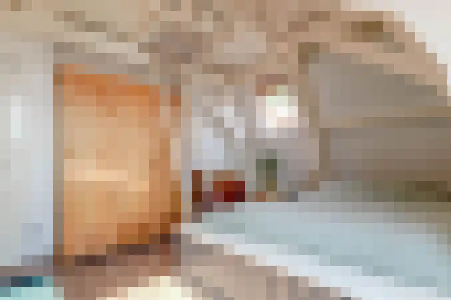 Tienenwal 16 A Alkmaar thumbnail 42