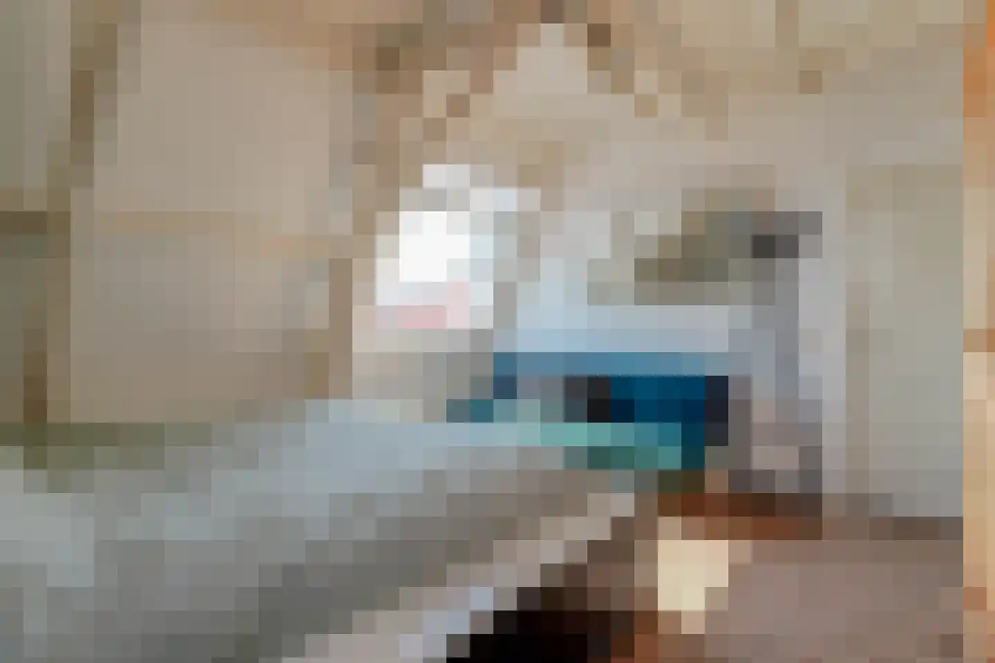Tienenwal 16 A Alkmaar thumbnail 43