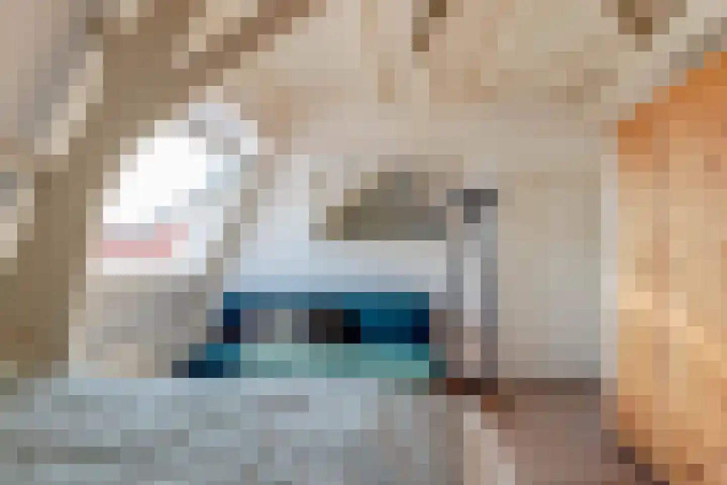 Tienenwal 16 A Alkmaar thumbnail 44