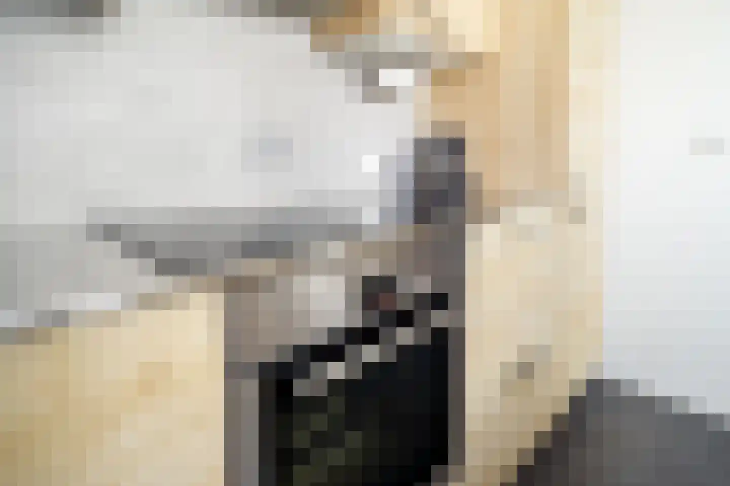 Tienenwal 19 Alkmaar thumbnail 12