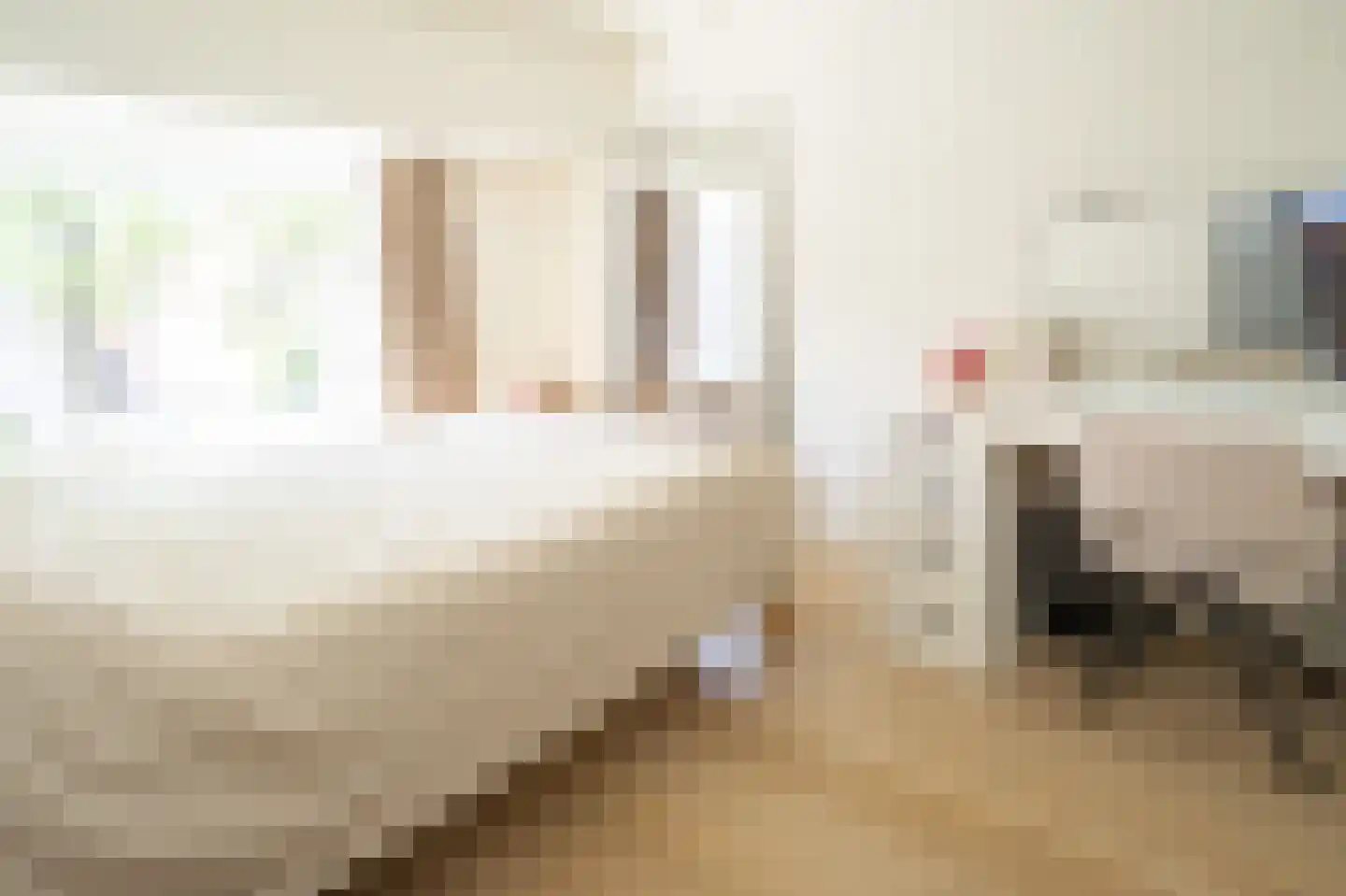 Tienenwal 19 Alkmaar thumbnail 17