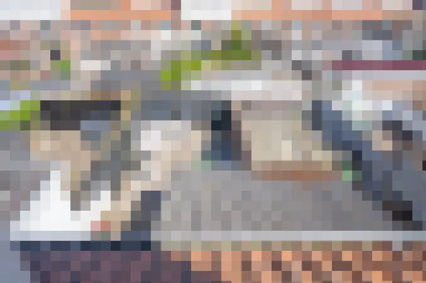 Tienenwal 19 Alkmaar thumbnail 31