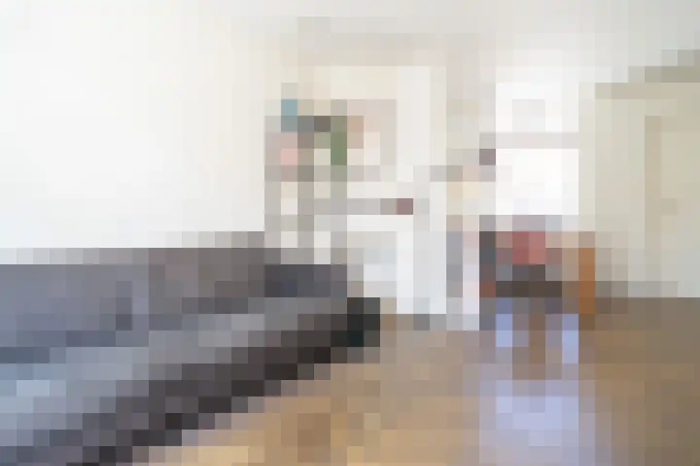 Tienenwal 19 Alkmaar thumbnail 7
