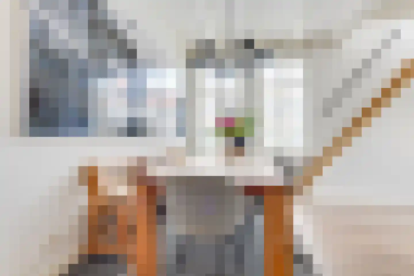 Tienenwal 20 Alkmaar thumbnail 17