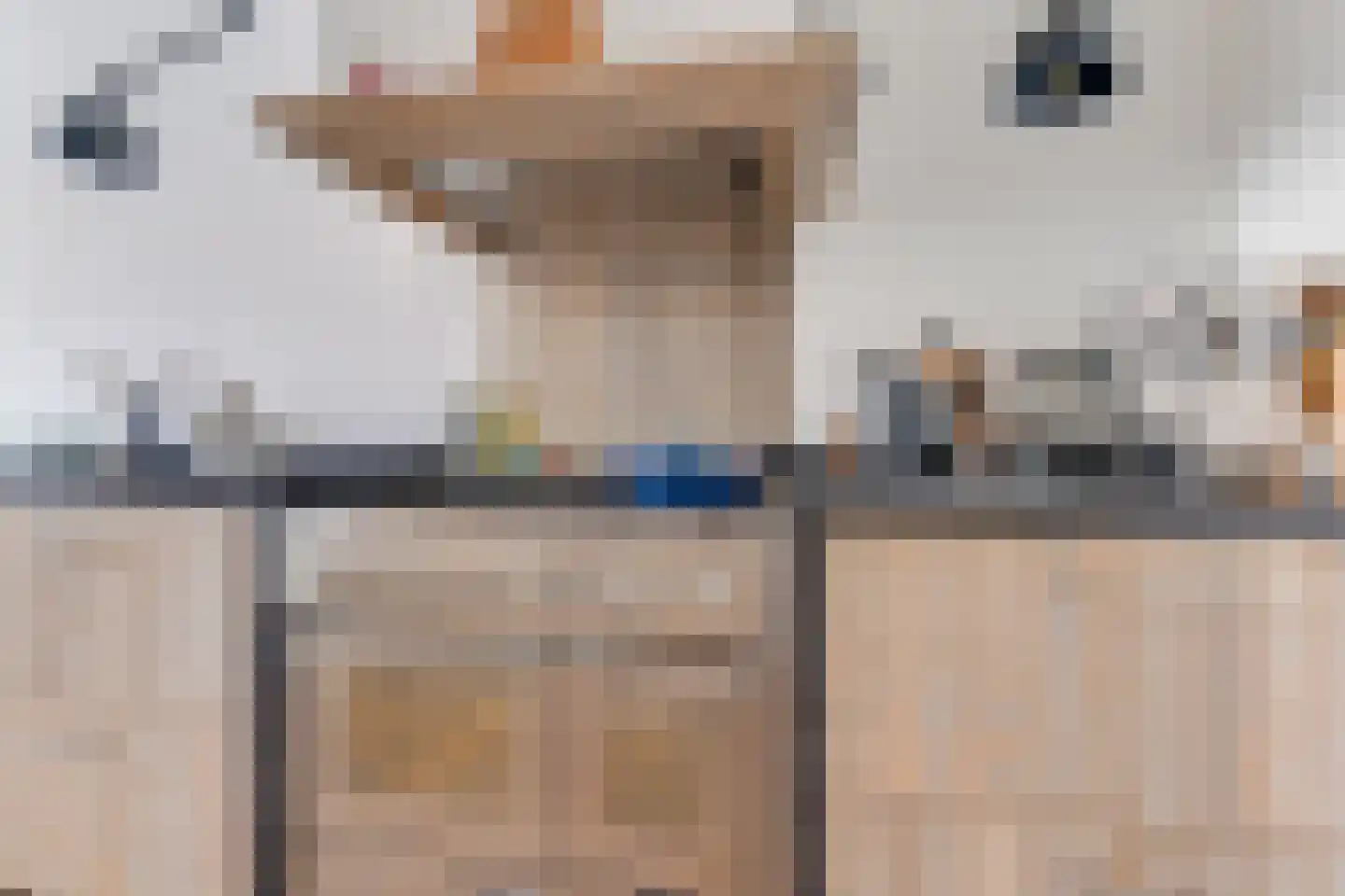 Tienenwal 20 Alkmaar thumbnail 19