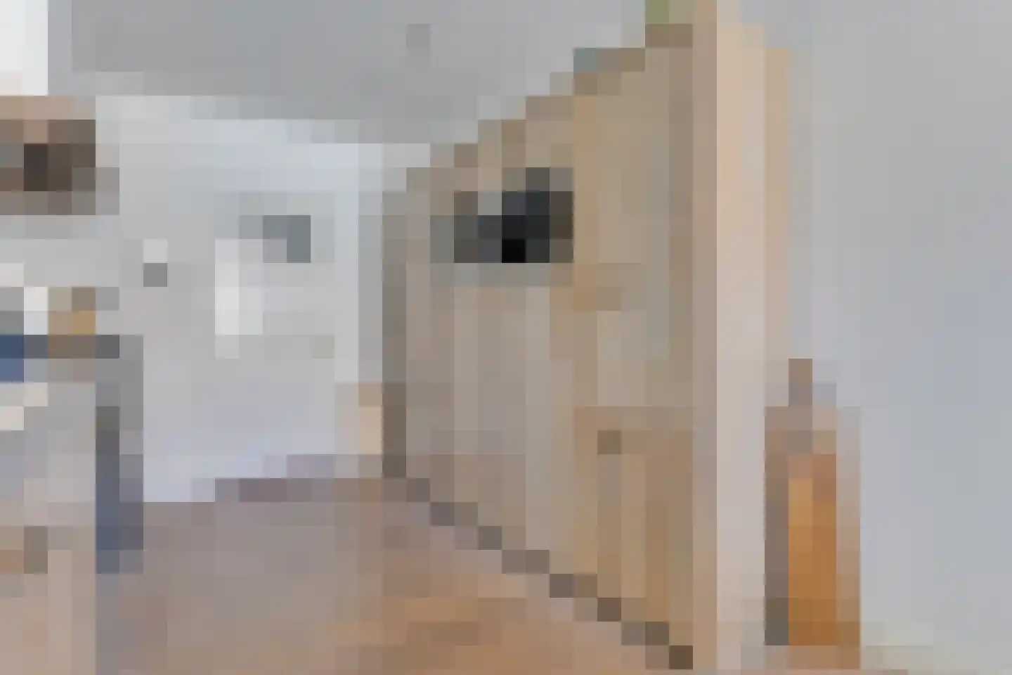 Tienenwal 20 Alkmaar thumbnail 20