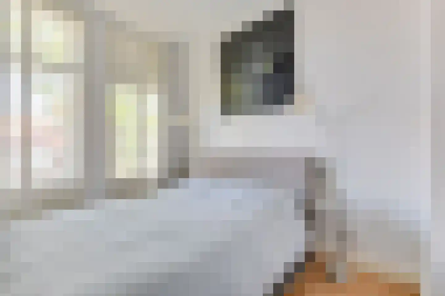 Tienenwal 20 Alkmaar thumbnail 24