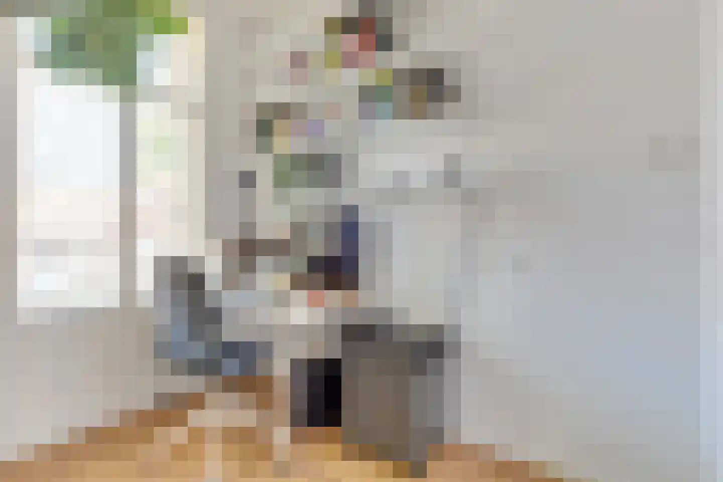 Tienenwal 20 Alkmaar thumbnail 32