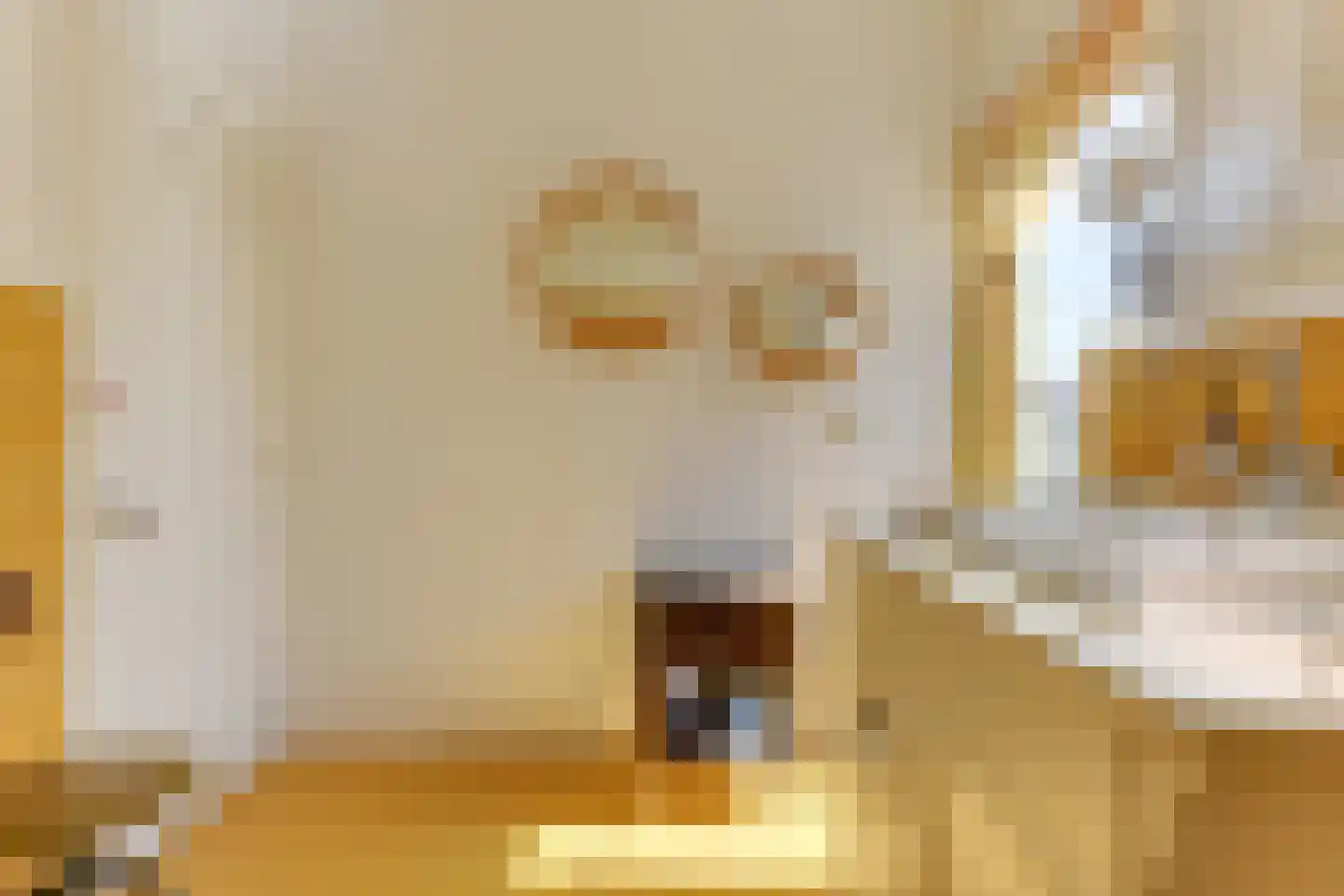 Tienenwal 20 Alkmaar thumbnail 35
