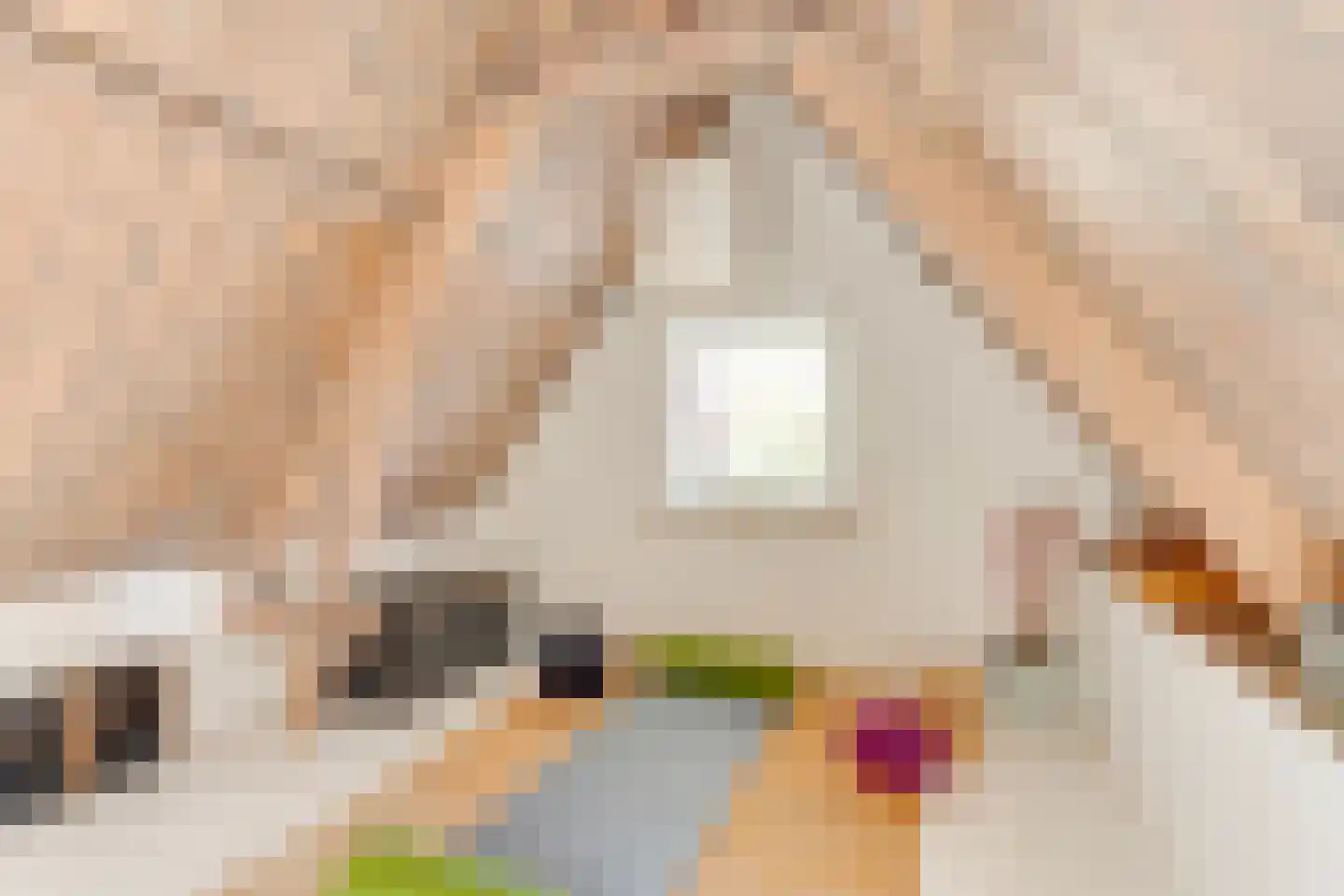 Tienenwal 20 Alkmaar thumbnail 38