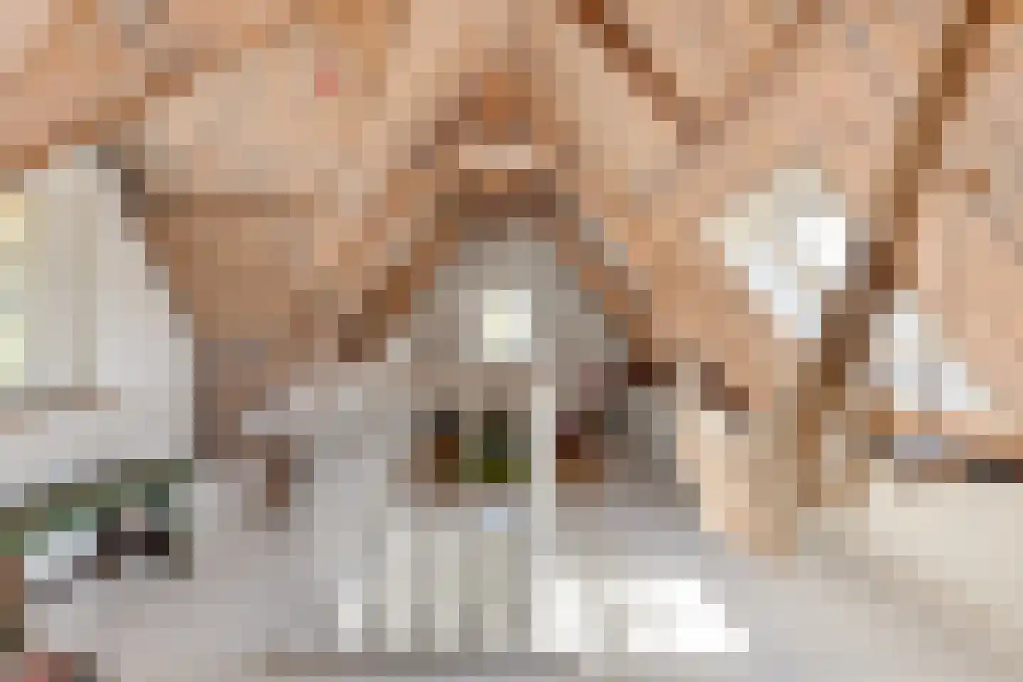 Tienenwal 20 Alkmaar thumbnail 41