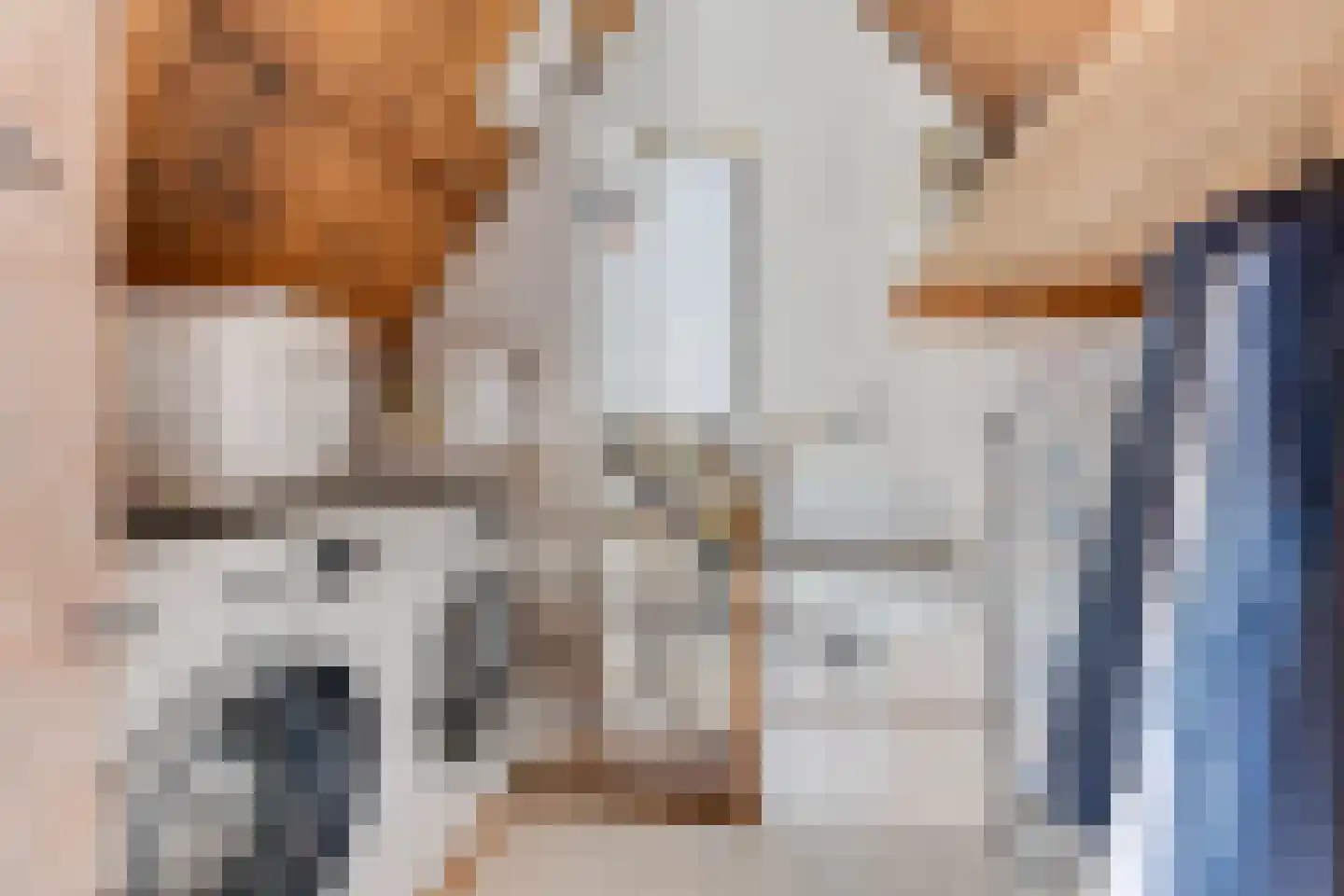Tienenwal 20 Alkmaar thumbnail 42