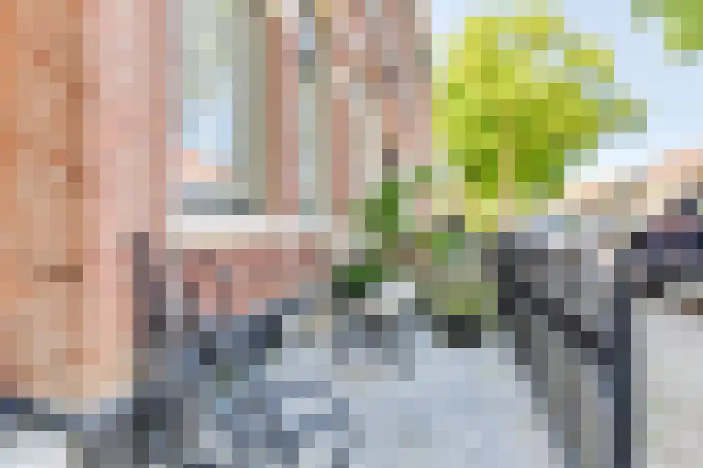 Tienenwal 20 Alkmaar thumbnail 53