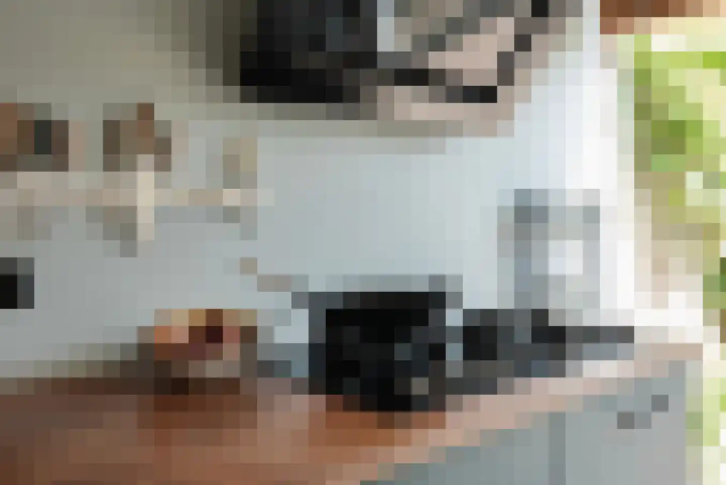 Tienenwal 31 Alkmaar thumbnail 10