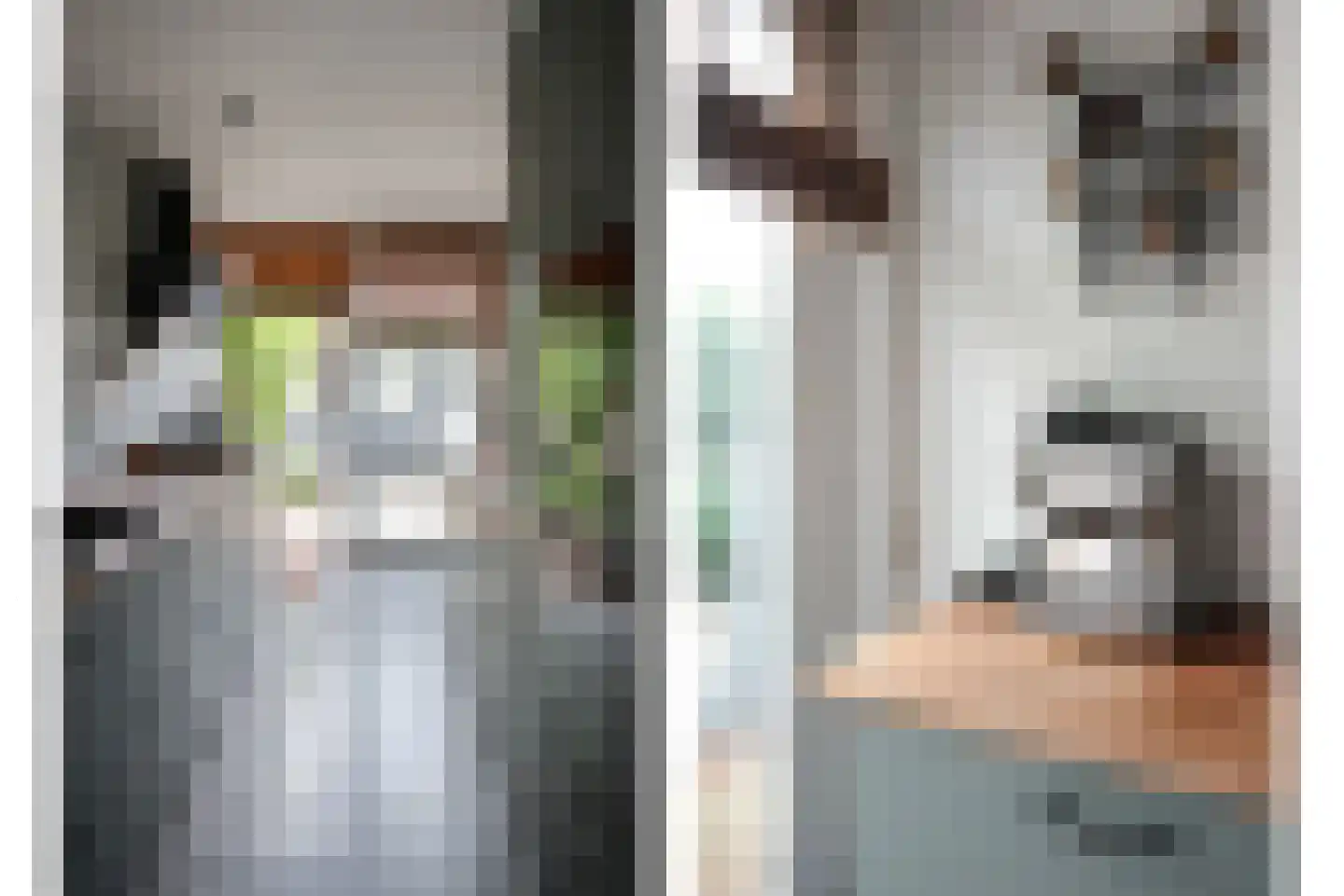 Tienenwal 31 Alkmaar thumbnail 11