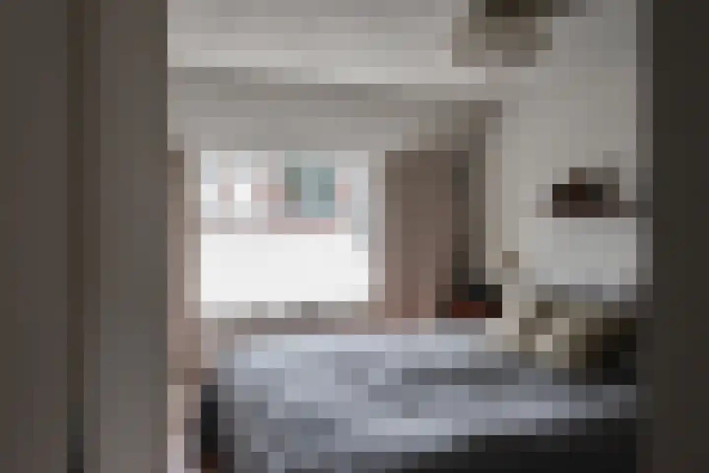 Tienenwal 31 Alkmaar thumbnail 20