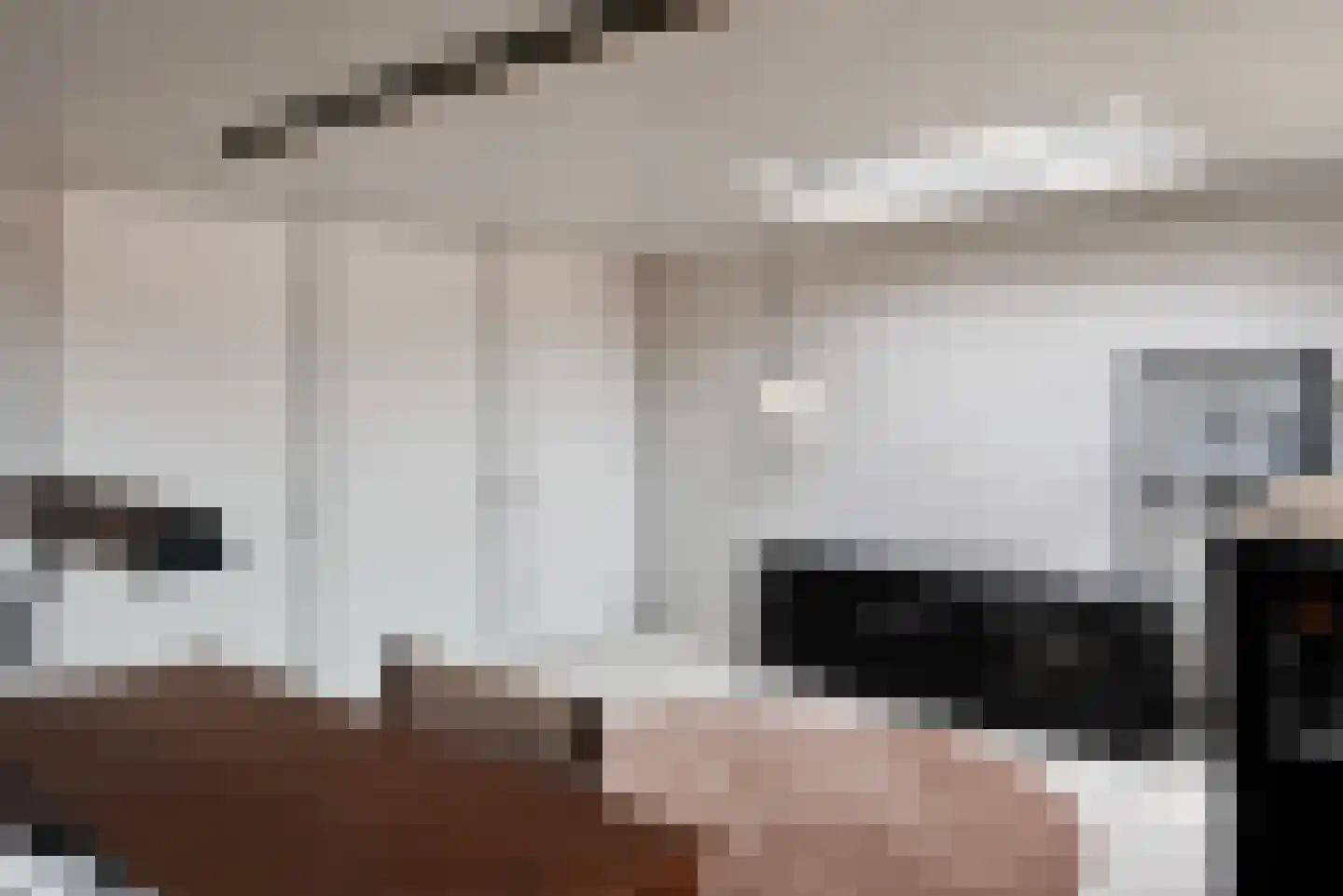 Tienenwal 31 Alkmaar thumbnail 28