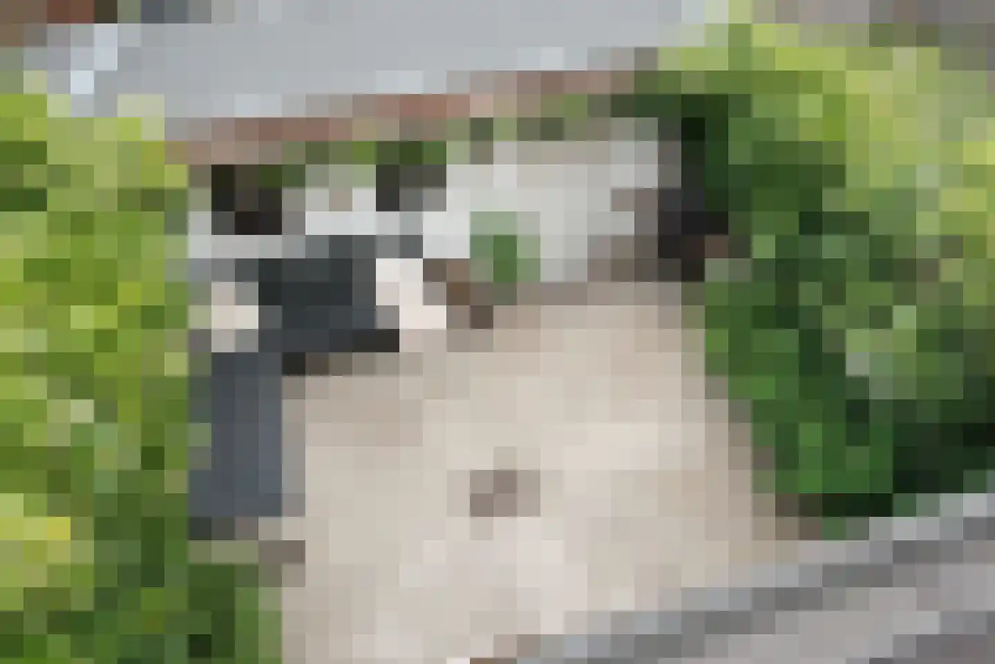 Tienenwal 31 Alkmaar thumbnail 31