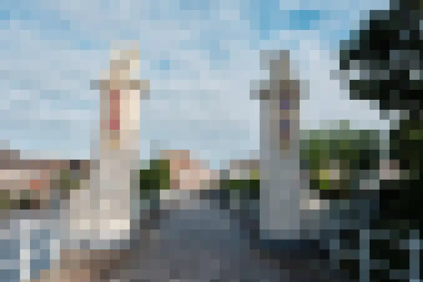 Tienenwal 31 Alkmaar thumbnail 39
