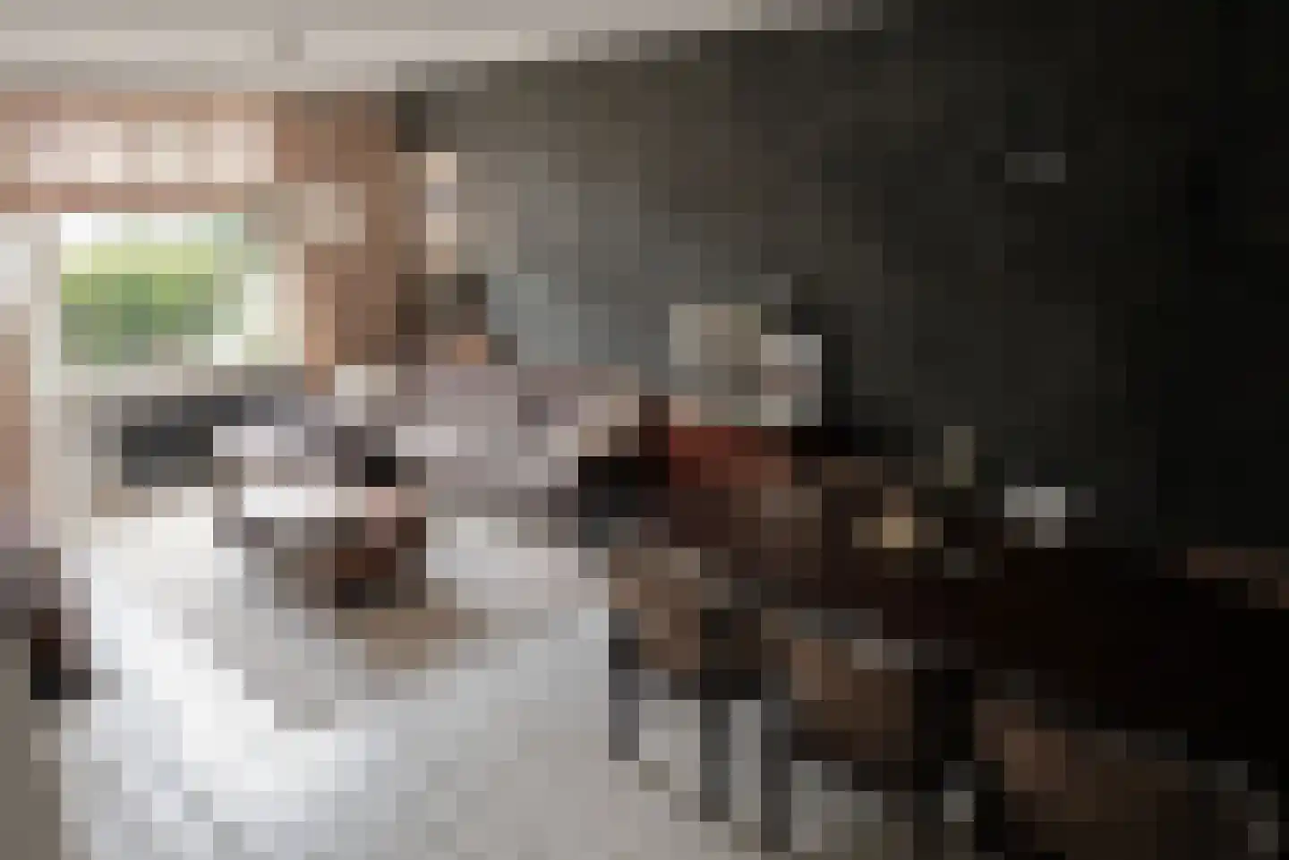 Tienenwal 31 Alkmaar thumbnail 6