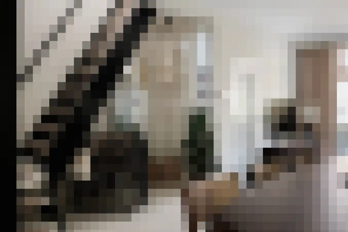 Tienenwal 31 Alkmaar thumbnail 7
