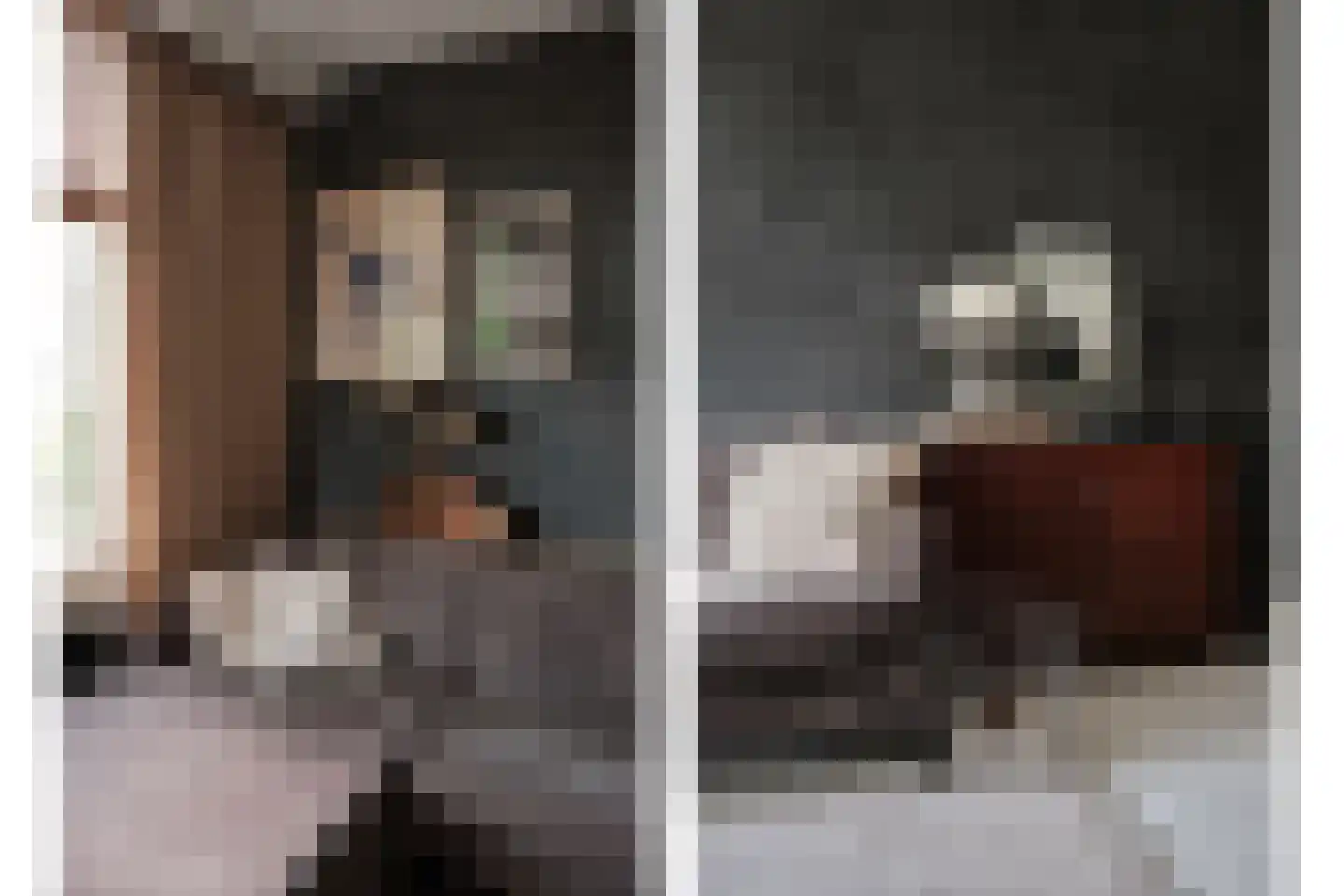 Tienenwal 31 Alkmaar thumbnail 8