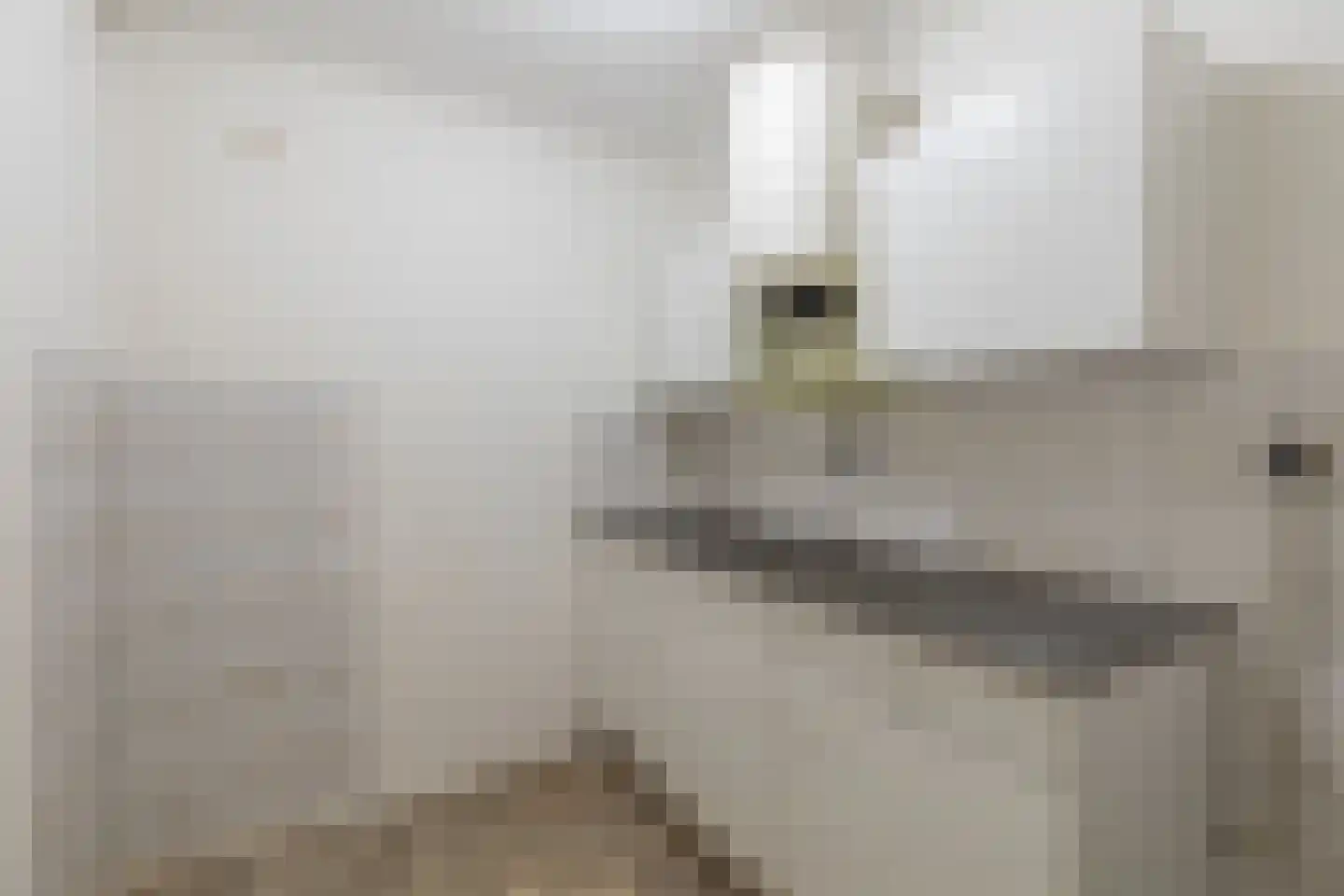 Tienenwal 4 D Alkmaar thumbnail 12