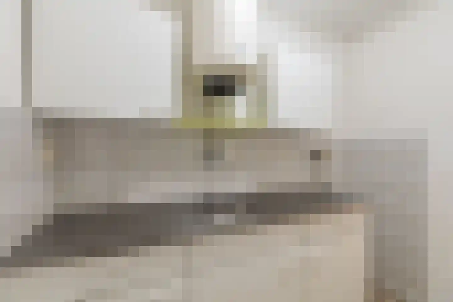 Tienenwal 4 D Alkmaar thumbnail 13