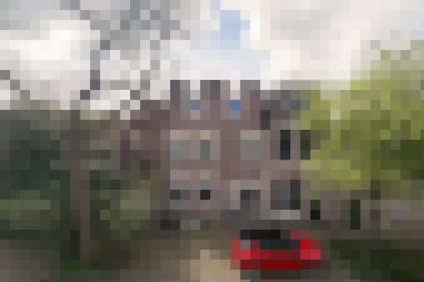 Tienenwal 4 E Alkmaar thumbnail 18