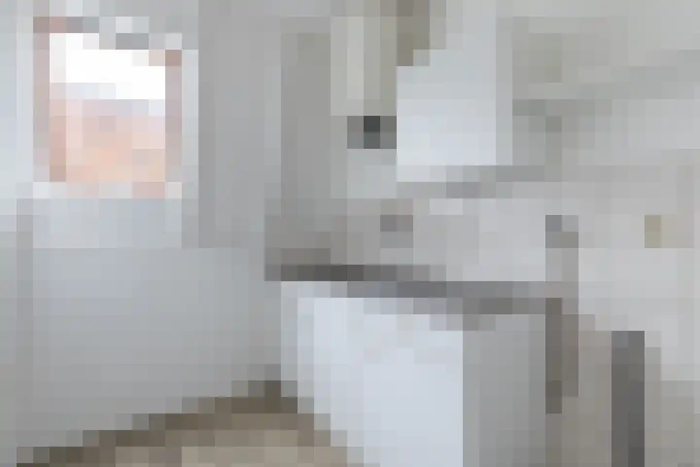 Tienenwal 4 G Alkmaar thumbnail 9