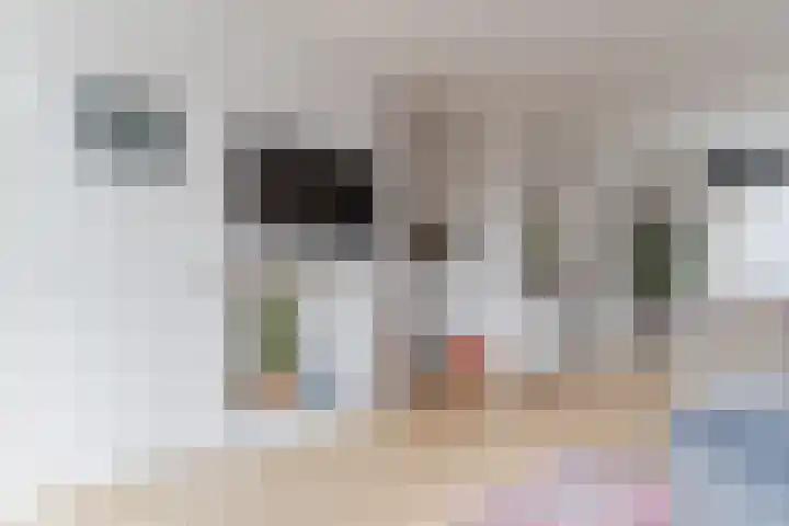 Tienenwal 7 Alkmaar thumbnail 13