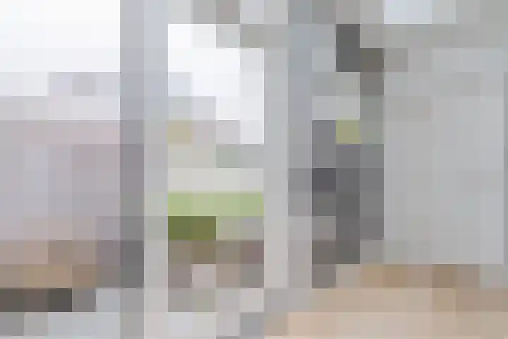 Tienenwal 7 Alkmaar thumbnail 23