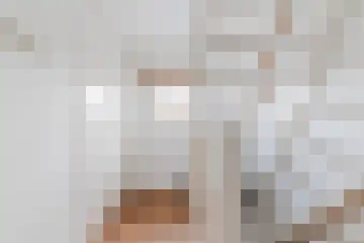 Tienenwal 7 Alkmaar thumbnail 27
