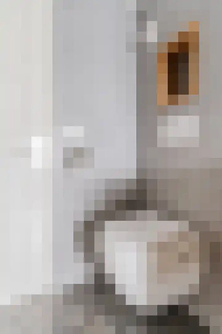 Tienenwal 7 Alkmaar thumbnail 33