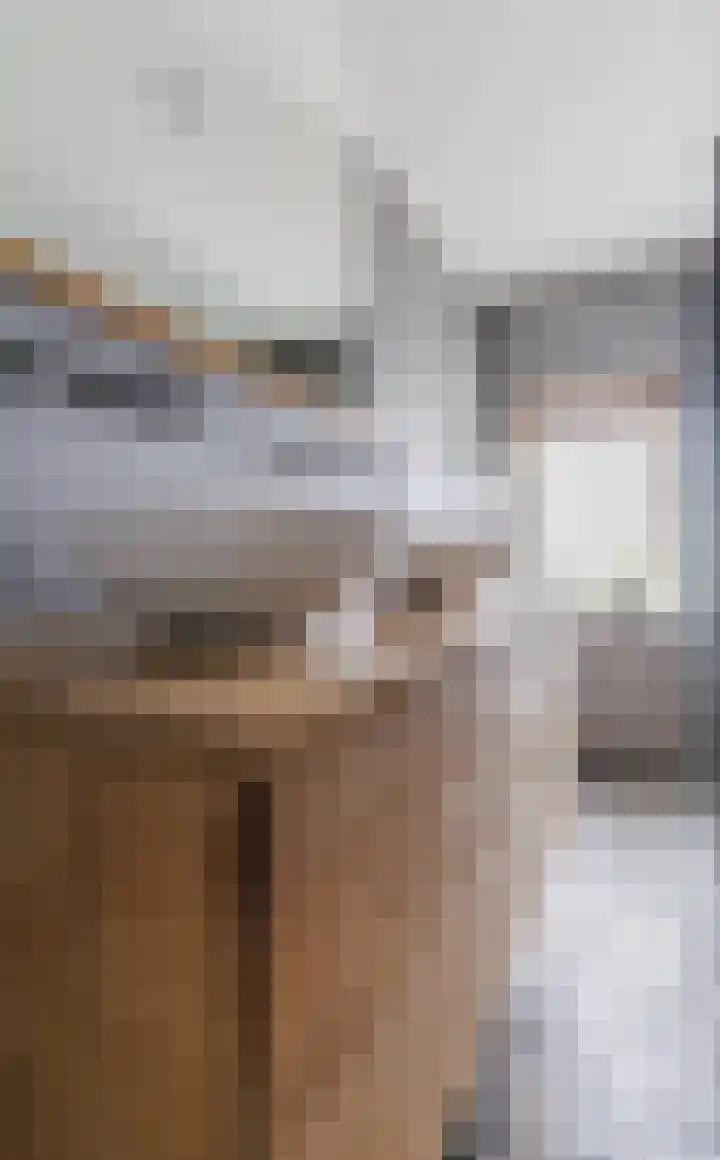 Tienenwal 7 Alkmaar thumbnail 34