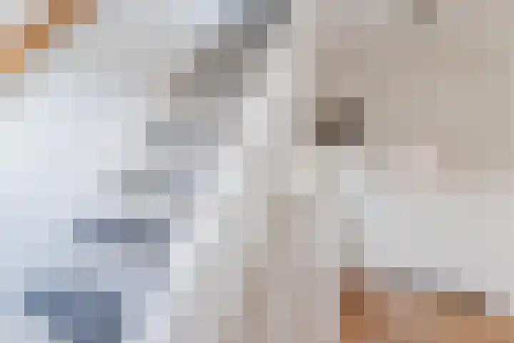 Tienenwal 7 Alkmaar thumbnail 36